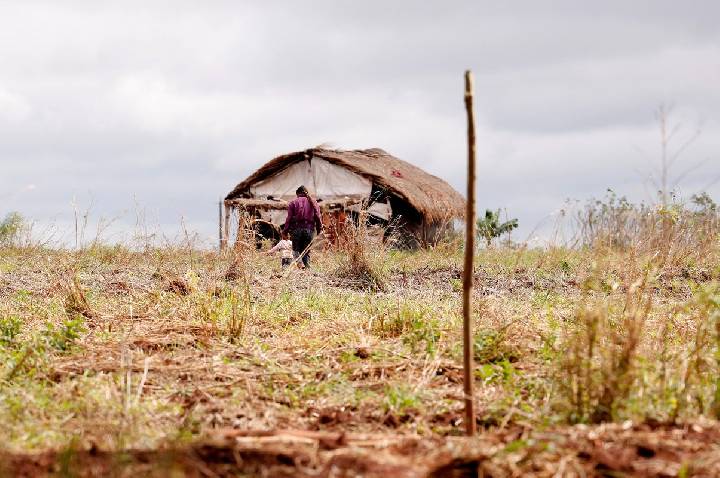 Cai número de assassinatos no campo, mas aumenta o de conflitos