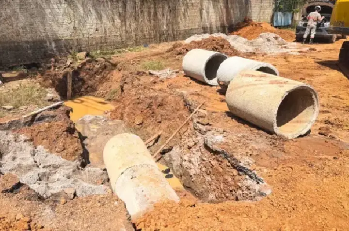 Clínica do Bem-Estar Animal de Porto Velho registra 6,6 mil atendimentos