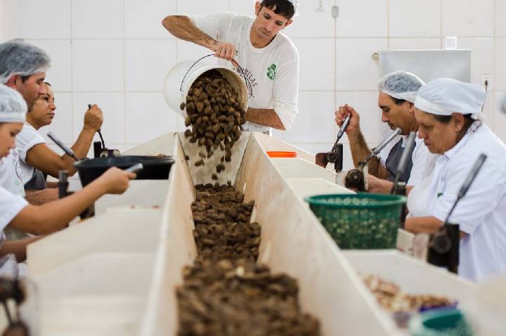 Consulta sobre bens sustentáveis no acordo Mercosul–UE acaba na quarta