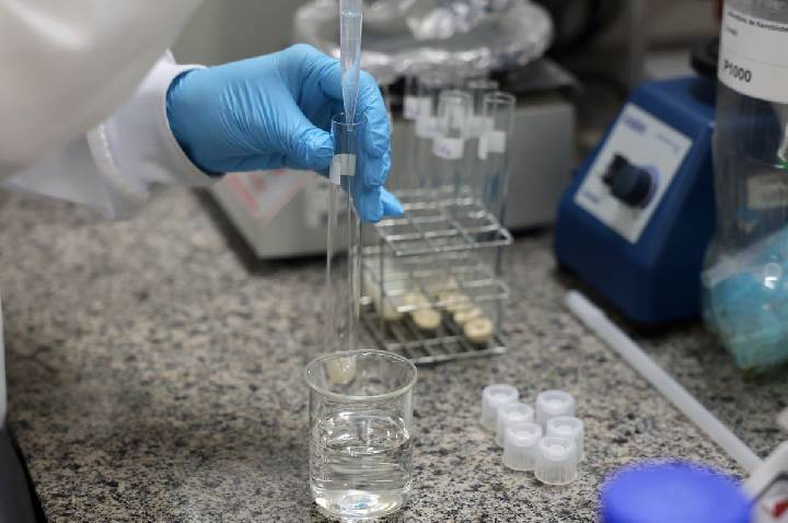 Doença de Newcastle: protocolos sanitários são cumpridos em SC