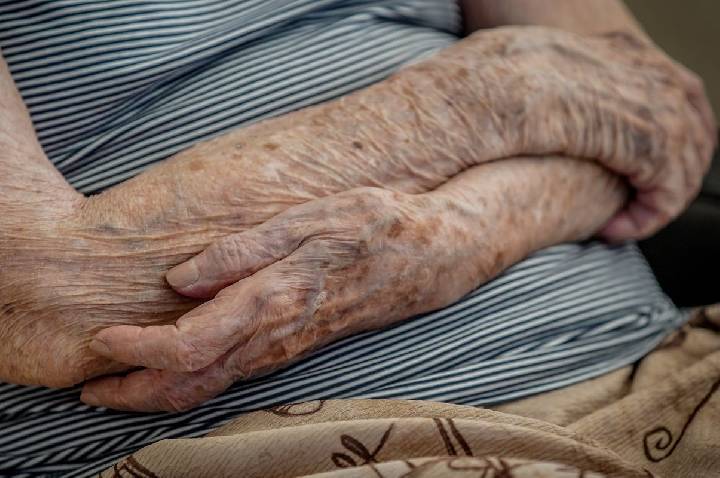 Número de lares com idosos em insegurança alimentar cai em dois anos