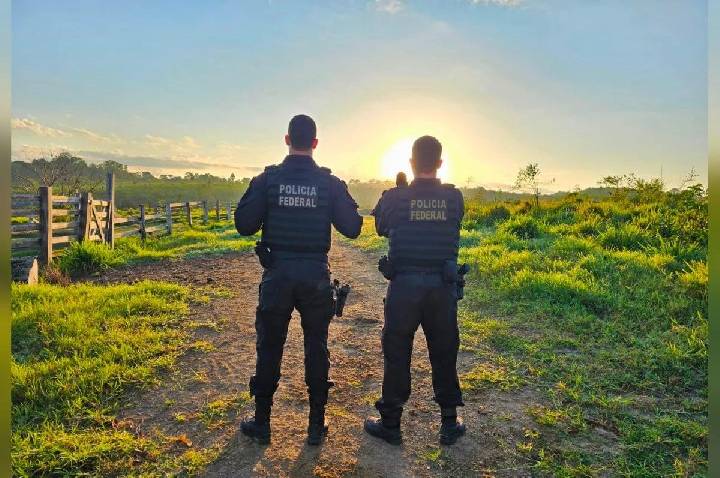PF faz operação contra extração ilegal de madeira em área indígena
