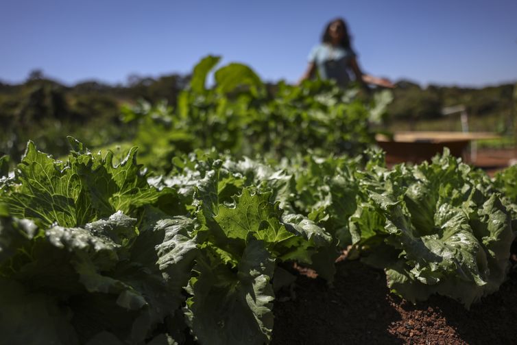 Parceria destina R$ 299 milhões para agricultura familiar na Bahia