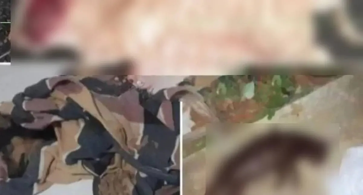 Cachorro e dois gatos morrem por suspeita de envenenamento