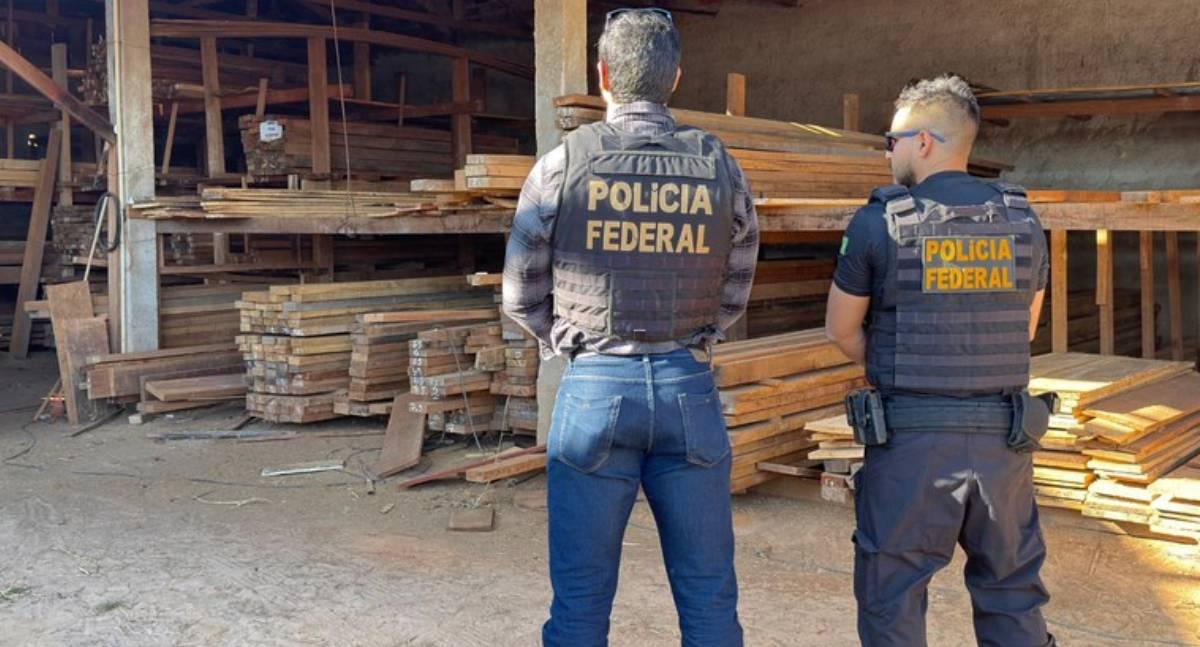 PF deflagra Operação contra extração ilegal de madeira em Terras Indígenas de Rondônia