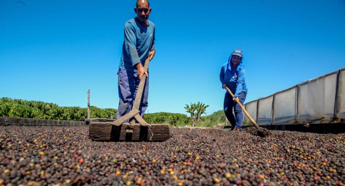 Inscrições para o 10º ConCafé são prorrogadas até 29 de agosto em Rondônia