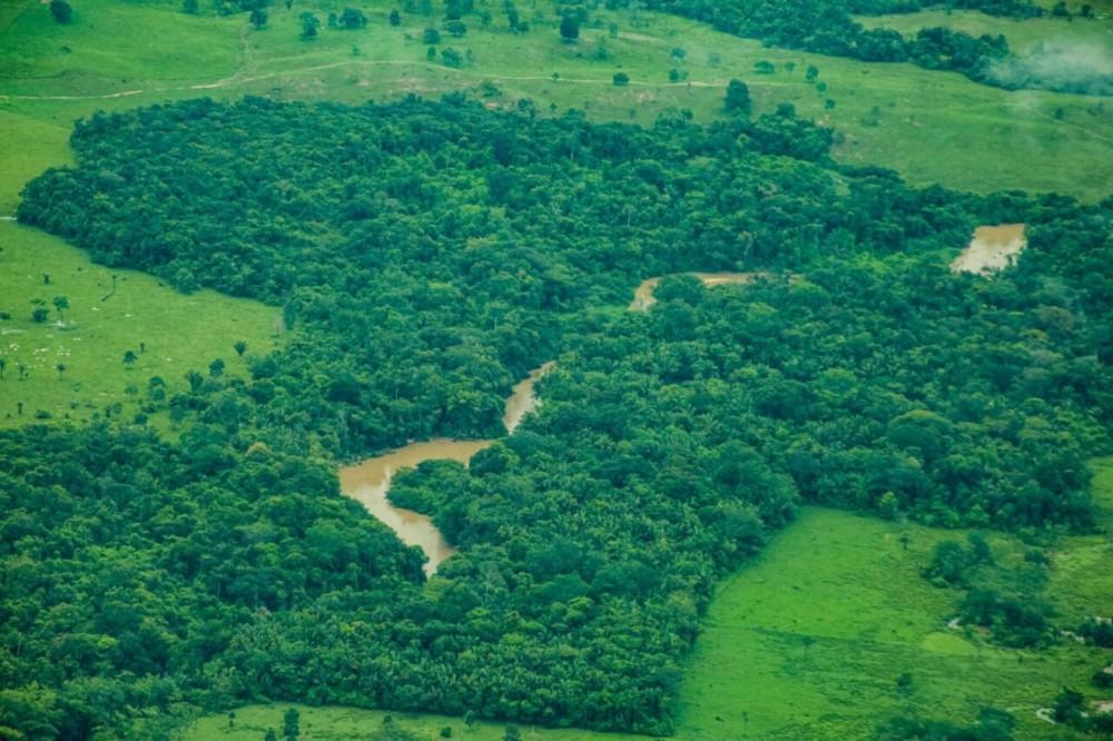 Rondônia registra queda de 35% no desmatamento em um ano, aponta Inpe