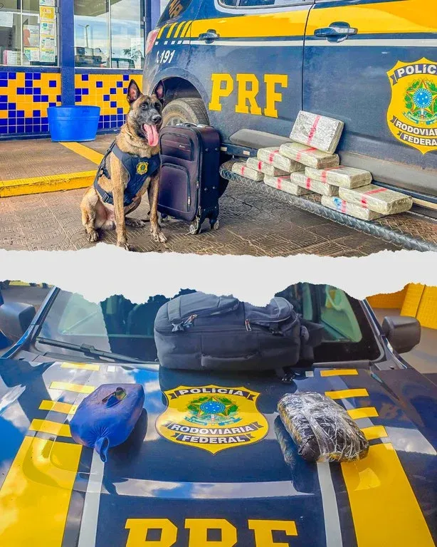Passageira embarca em Rondônia com mais de 13 kg de drogas e acaba presa no Mato Grosso