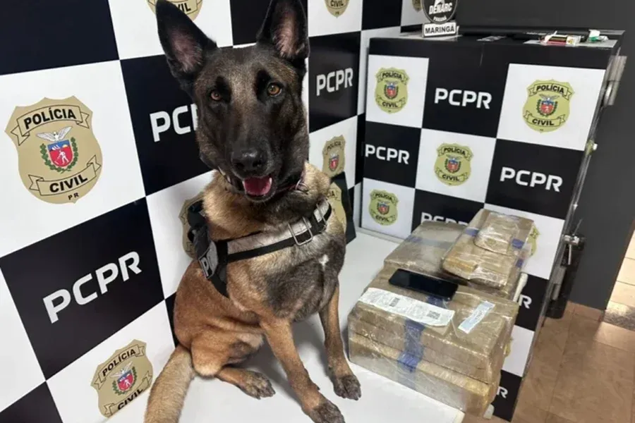 Homem é preso com 24 quilos de maconha escondidos em ônibus no Paraná