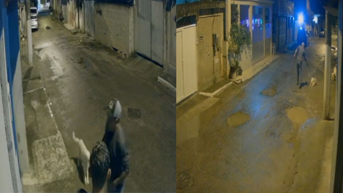 Polícia prende homem que executou cachorro a tiros no Rio