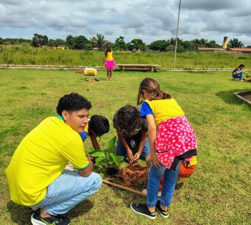 Plantio de árvores é feito na Praça da Juventude