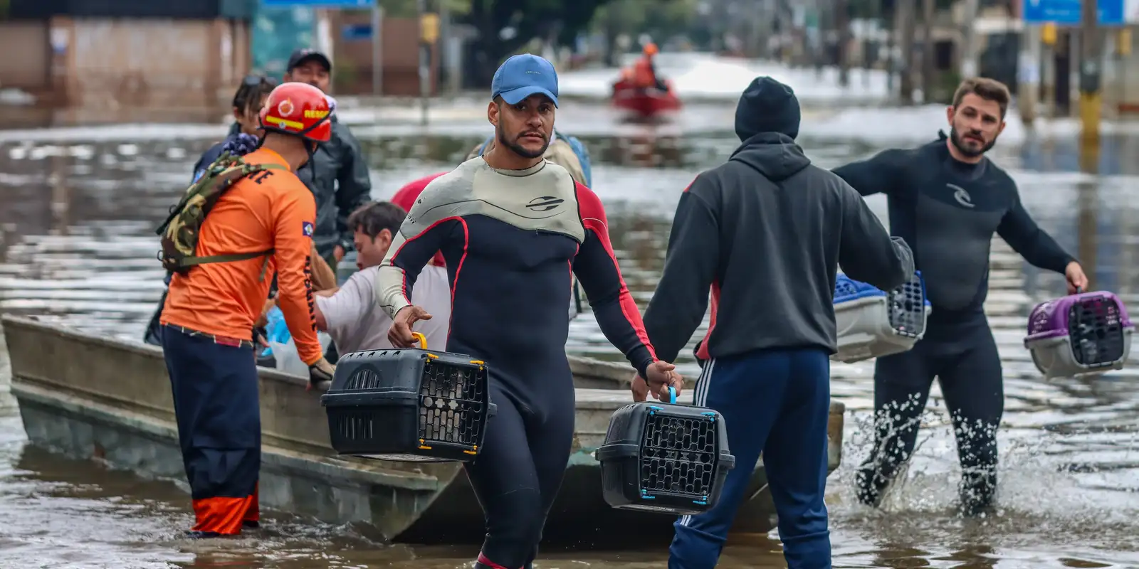 Lei cria Política de Acolhimento para animais resgatados em desastres