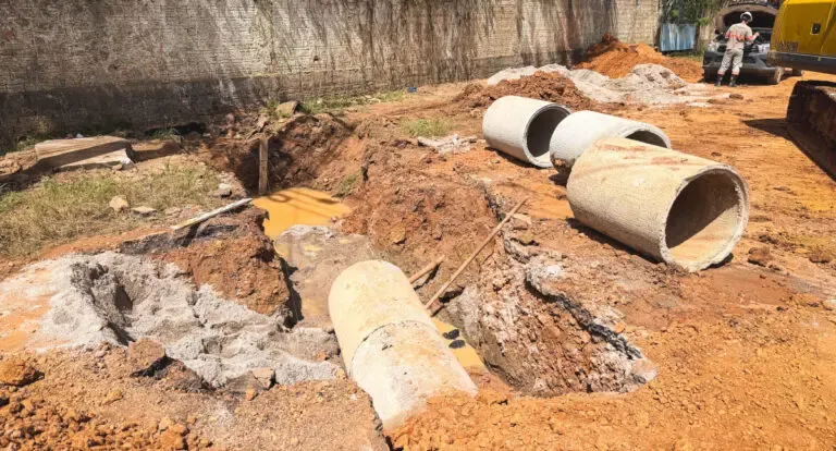 Clínica do Bem-Estar Animal de Porto Velho registra 6,6 mil atendimentos
